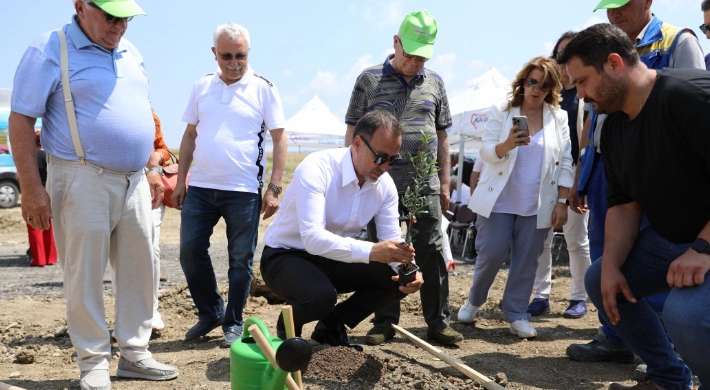 Silivri’de 5 bin 100 adet yağlık zeytin fidanı toprakla buluştu