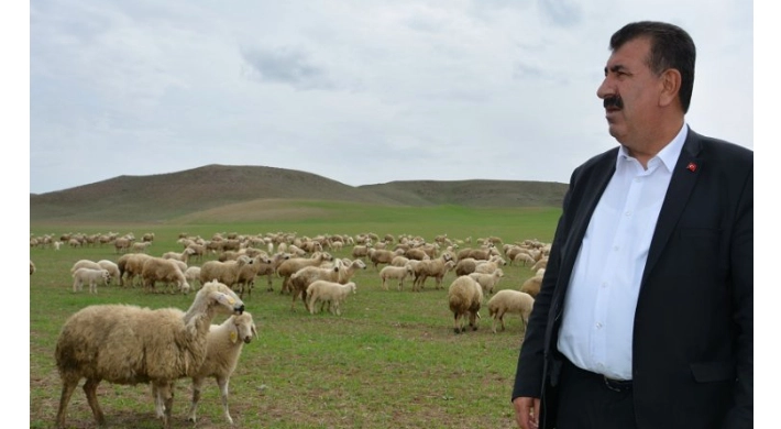 Çevre sorunları küçükbaş hayvancılığı olumsuz etkiliyor