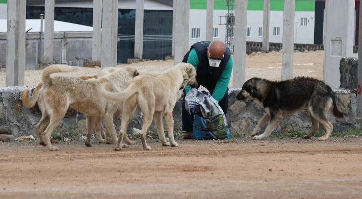 Çok tartışıldı... O düzenleme yasalaştı!