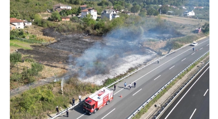 Düzce’de anız yangını! Fındık arazisi zarar gördü!