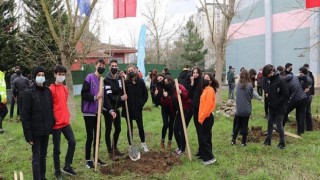 Büyükşehir, 1041 meyve fidanını okullarda toprakla buluşturuyor