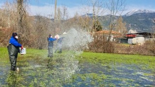 Büyükşehir’den Karabağlar Yaylası’nda Vektörle mücadelesi çalışması