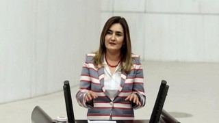 CHP İzmir Milletvekili Av. Sevda Erdan Kılıç: “İzmir’in onda biri yandı”