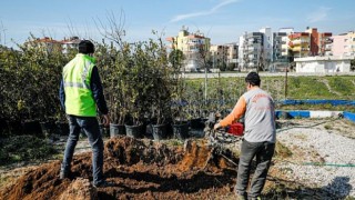 Seferihisar’da Dünya Çiftçiler Günü’nde Tohum Takas Şenliği