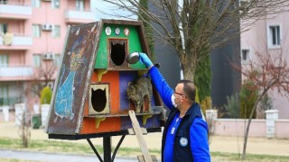 Büyükşehir Belediyesi Can Dostları İçin Mama Üretiyor