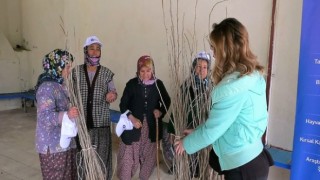 Büyükşehir’den ipekböceği yetiştiricilerine destek Alanya Alacami Mahallesi’nde dutfidanı dağıtıldı