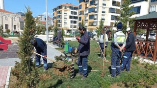 Daha Yeşil Bir Malkara İçin Ağaçlandırma Çalışmalarımız Devam Ediyor