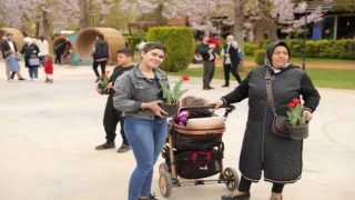 Gaziantep’te baharın müjdecisi laleler