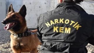 Hakkari’de dedektör köpekler polisin büyük destekçisi