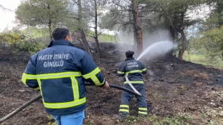 Hatay’daki orman yangını gönüllü itfaiyeciler söndürdü