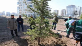 Kayseri Kocasinan ağaç dikim sezonunu açtı