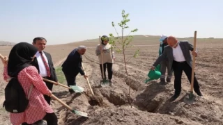 Kayseri Kocasinan ’Vuslat Ormanı’ ile nefes alacak