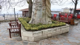 Kocaeli tarihi Orhan Camii çiçek açtı