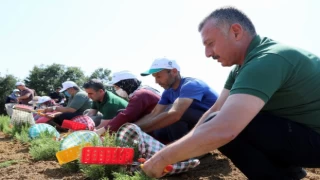 Kocaeli’nde kooperatif ve birliklere hibe desteği başvuruları 22 Nisan’da sona eriyor