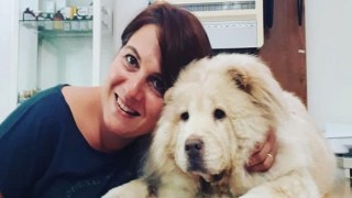 Köpeklerin yiyebileceği insan yiyecekleri