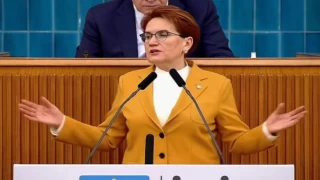 Meral Akşener: Bu milletin hakkı hepinize; haram, zehir, zıkkım olsun!