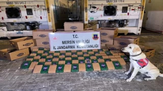 Mersin Limanı’nda 258 kilo uyuşturucu