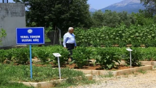 Muğla Büyükşehir’den köy enstitüleri için anlamlı etkinlik