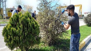 Saray Belediyesi’nden bahar temizliği