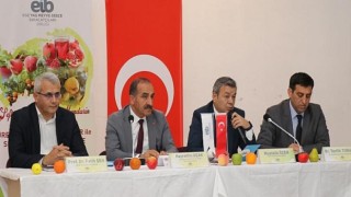 Türkiye şeftali ve nektarin ihracatında dünya liderliğini hedefliyor Şeftali ve nektarin ihracatında 2022 hedefi 200 milyon dolar