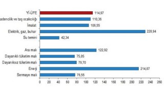 Yurt içi üretici fiyat endeksi (Yİ-ÜFE) yıllık 114,97, aylık 9,19 arttı