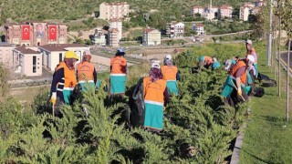 Başkan Savran Çalışma Alanlarında İncelemelerde Bulundu