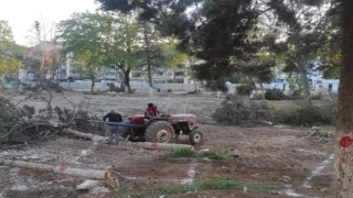 Bursa Yenişehir’de Millet Bahçesi’nde kontrollü katliam!