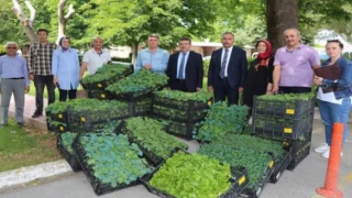 Bursa’nın Ata Tohumları Yenişehir’de fidelendi