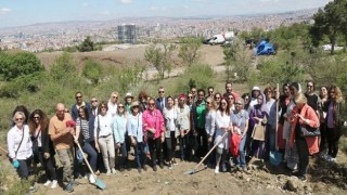 Büyükelçi Eşleri Bademlidere’ye Fidan Dikti