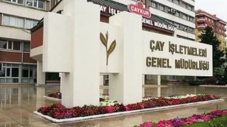 Çaykur alacağı yaş çay miktarını açıkladı