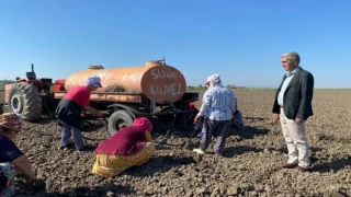 Edirne İpsala’da çiçek üreticiliği başlıyor