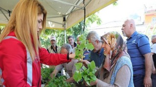 Gemlik’te organik ve ücretsiz fide dağıtımı başladı