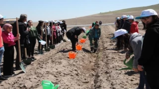 Kayseri Kocasinan’da Engelliler Haftası’nda fidan dikildi