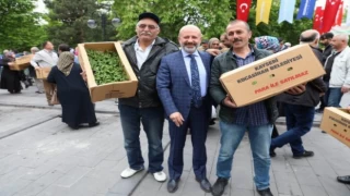 Kayseri Kocasinan’ın domates efsanesi geri döndü