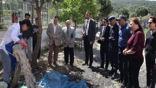 Kınık’ta Tübitak Bilim Fuarı Açılışı Gerçekleşti