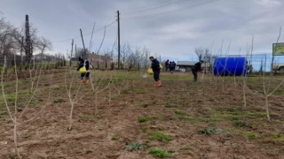 Kocaeli İzmit’te ipek böcekçiliği projesinde sona gelindi