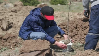 Kütahya’da Haydar Aliyev anısına fidan dikildi