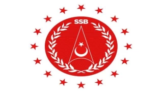 Savunma Sanayii Başkanlığı logosunu yeniledi