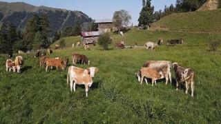 TEMA Vakfı Doğal Varlıkların Korunması için Madenciliğe Kapalı Alanların Kanunlarla Belirlenmesini Öneriyor