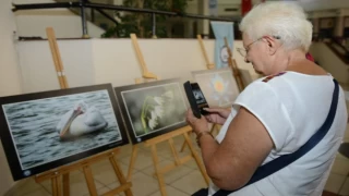 Bursa Yıldırım’da ’doğa fotoğrafçılığı atölyesi’ ilk mezunlarını verdi