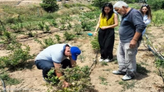 Bursa’nın dağ ilçelerindeki bahçelerden şüpheli numuneler alındı