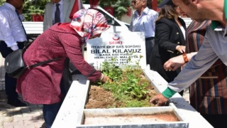 Malatya’da yetiştirilen çiçekler şehitliğe dikildi