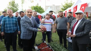 Mardin’de 16. Kiraz Festivali başladı