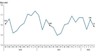 Tavuk eti üretimi 199 bin 200 ton, tavuk yumurtası üretimi 1,59 milyar adet olarak gerçekleşti