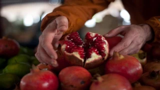 Türkiye’nin ilk Organik Pazarı 16’ncı yılında