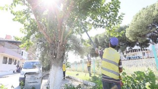 Aydın Büyükşehir Belediyesi’nden Germencik’te Yaz Temizliği