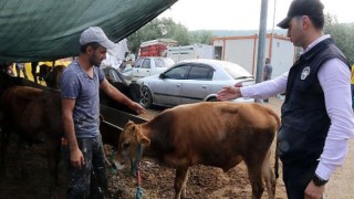 Çankaya’da Kurban Bayramı Hareketliliği