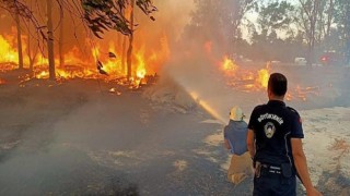 İzmir’in ormanlarını korumak için zabıta iş başında