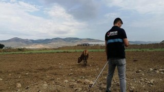 Sincan Belediyesi Kurban Timi Sahadaydı