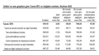 Tarım ürünleri üretici fiyat endeksi (Tarım-ÜFE) yıllık Yüzde 148,90 arttı, aylık Yüzde 0,66 azaldı